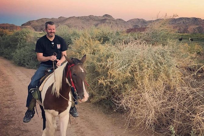 Morning Horseback Ride with Breakfast from Las Vegas - Desert views, wildlife chances, and photo tips