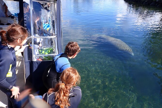 Most Popular 3hr Manatee Swim Tour + In-Water Guide! - Crystal River National Wildlife Refuge: the protected-water feeling