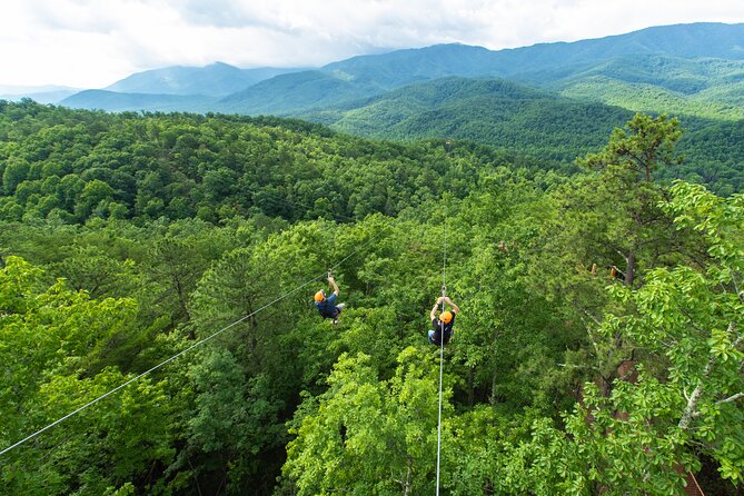 Mountaintop Zipline 2-Hours Activity - Six Dual Zip Lines: How the Repeated Flights Build Confidence