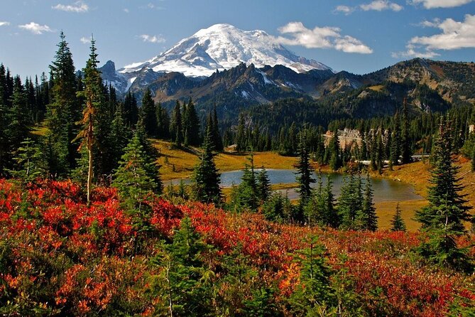 Mt. Rainier Day Tour from Seattle - Quick highlights worth planning for