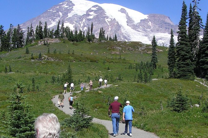 Mt. Rainier Day Tour from Seattle - Henry M. Jackson Visitor Center: lunch, views, and a reset
