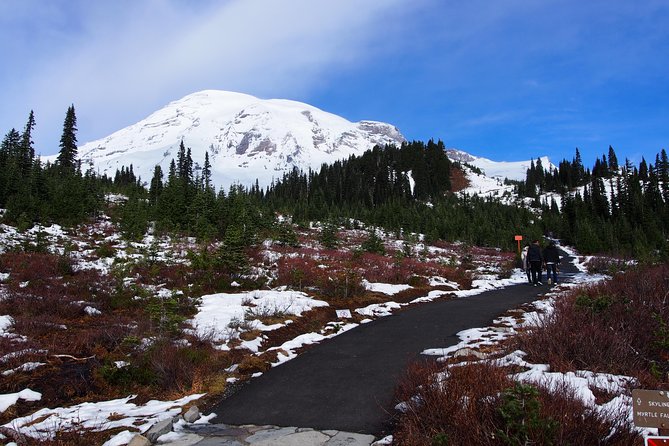Mt. Rainier Day Tour from Seattle - Twin Firs Loop Trail: a short walk that feels like “more than photos”