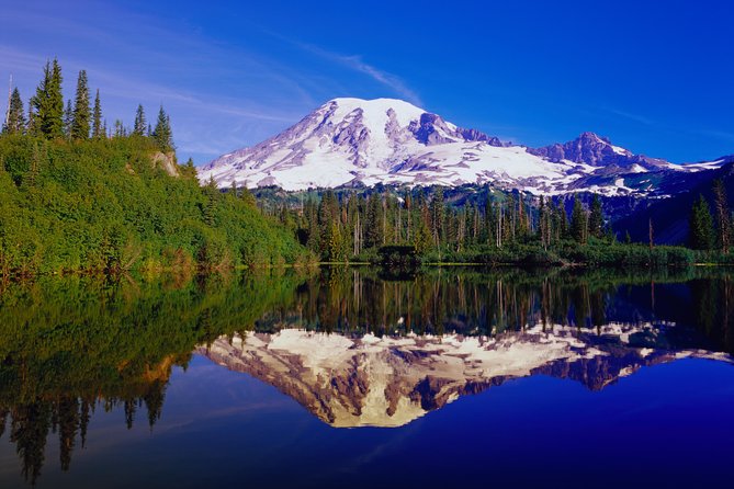 Mt. Rainier Day Tour from Seattle - What the guide really adds, beyond just driving