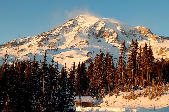 Mt. Rainier National Park Highlights Tour - Why Mt. Rainier Highlights From Seattle Feels Like a Smart Shortcut