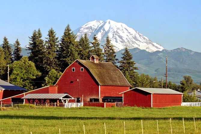 Mt. Rainier National Park Highlights Tour - Narada Falls on the Nisqually River: The Waterfall Moment That Makes the Trip Pay Off