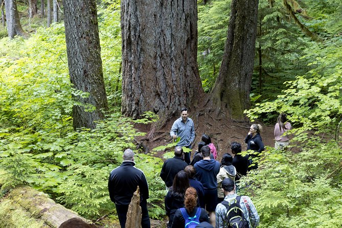 Mt. Rainier National Park Highlights Tour - Paradise Valley at 5,400 Feet: Lunch, Visitor Area, and Winter Limits You Must Know