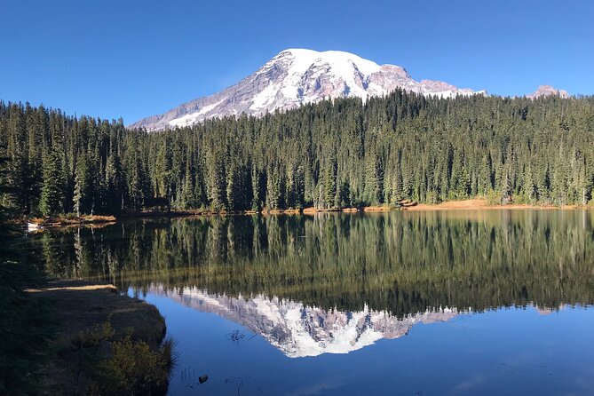 Mt. Rainier National Park Highlights Tour - Twin Firs Loop and Reflection Lakes: Old Growth at Your Pace and Mirror-Mountain Photos