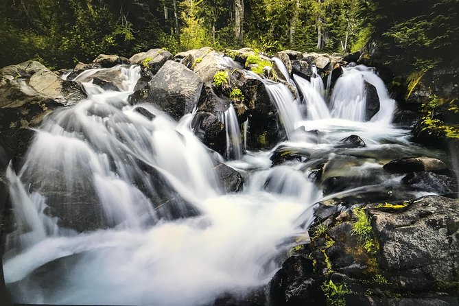 Mt. Rainier National Park Highlights Tour - Summer Swaps: Sunrise Visitor Center and Tipsoo Lake Loop