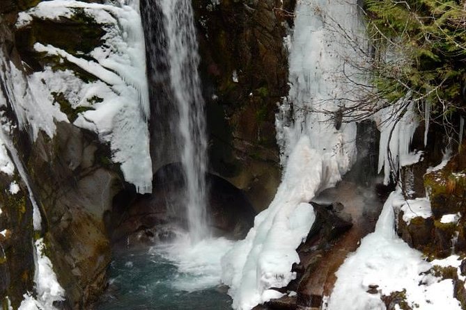 Mt. Rainier National Park Highlights Tour - First Stop Energy: The Scenic Drive and Road-Closure Detours