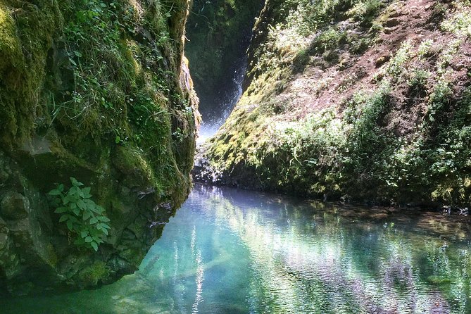 Multnomah Falls and Columbia River Gorge Half-Day Hiking Tour - From 833 SE Main Street into the Gorge canyon fast