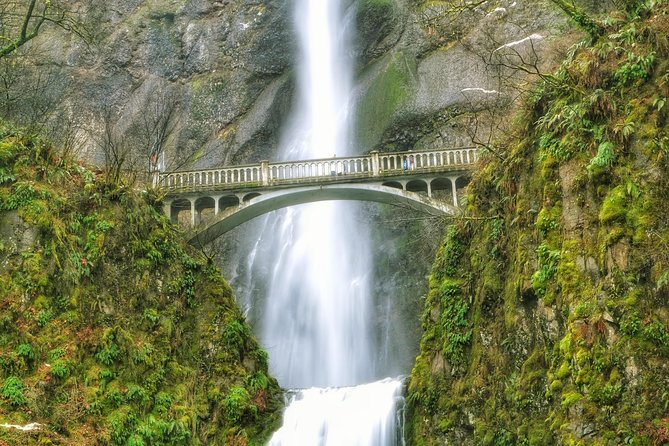 Multnomah Falls and Columbia River Gorge Half-Day Hiking Tour - Multnomah Falls and Benson Bridge: the iconic stop without the full climb
