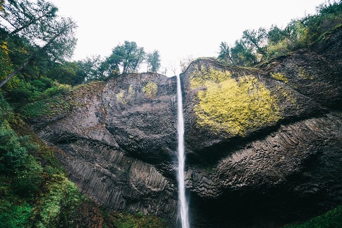 Multnomah Falls and Columbia River Gorge Waterfalls Tour Morning - Latourell Falls: basalt cliffs and a 249-foot free-fall look