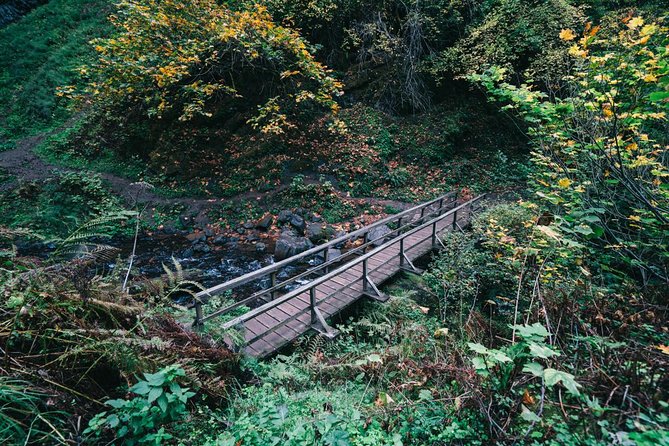 Multnomah Falls and Columbia River Gorge Waterfalls Tour Morning - Value check: does $85 feel worth it for a Gorge morning?