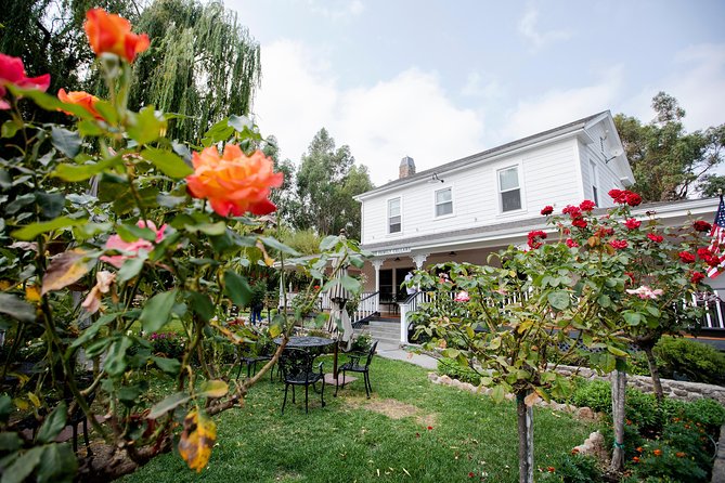 Napa and Sonoma Wine Country Full-Day Tour from San Francisco - Sonoma Plaza Free Time: Lunch on Your Own, But a Smart Place to Do It