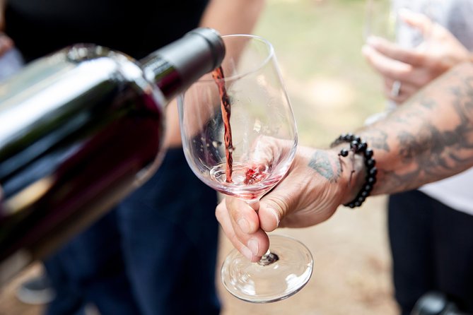 Napa and Sonoma Wine Country Full-Day Tour from San Francisco - Artesa Vineyards and Winery: Views, Art, and a Clean Tasting Flow