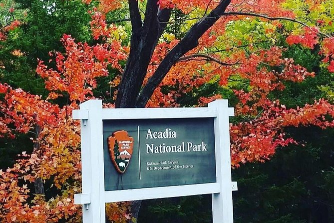 Narrated Bus Tour of Bar Harbor and Acadia National Park - Thunder Hole along Ocean Drive: quick views with a not-get-wet rule