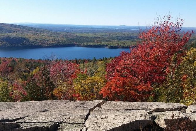 Narrated Bus Tour of Bar Harbor and Acadia National Park - Sieur de Monts Spring and the Wild Gardens: Acadia’s origin-feel