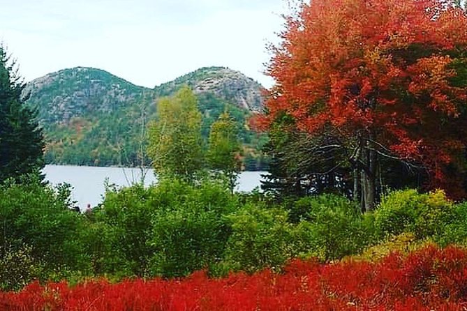 Narrated Bus Tour of Bar Harbor and Acadia National Park - The best way to enjoy Cadillac, Thunder Hole, and Sieur de Monts