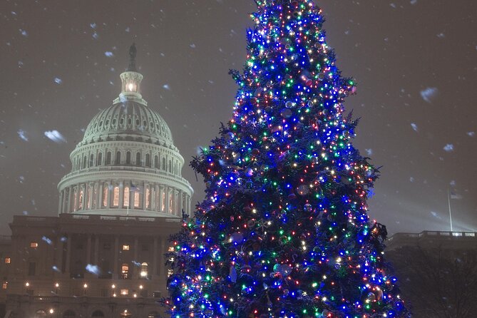 National Mall Monuments Night Tour with 10+ Stops, Entry Tickets - What the guides do well, and how to ride the tour like a pro