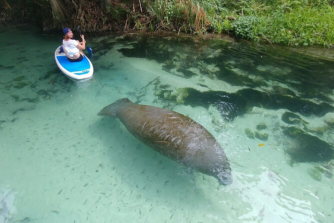 Nature & Island Exploration on SUP/Kayak - Key things that make this tour worth your attention