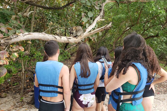 Nature & Island Exploration on SUP/Kayak - Miami mangroves and a raccoon island stop, why this works