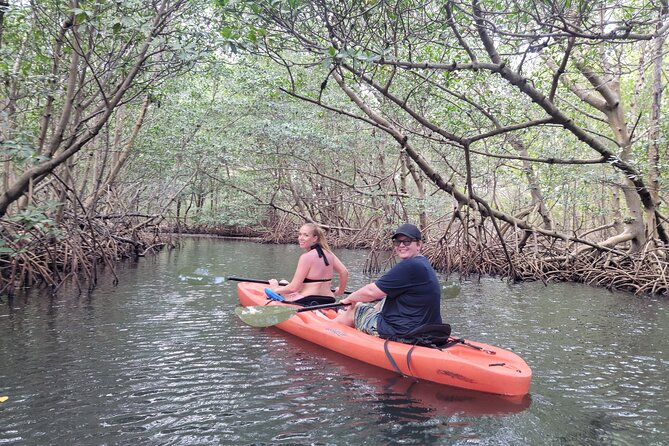 Nature & Island Exploration on SUP/Kayak - The first stretch on the water, beginner coaching done right