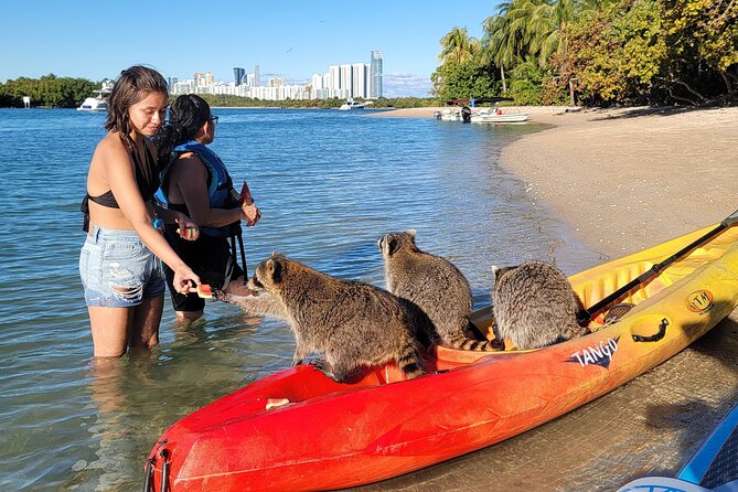 Nature & Island Exploration on SUP/Kayak - The swim and snack break, where the vibe changes
