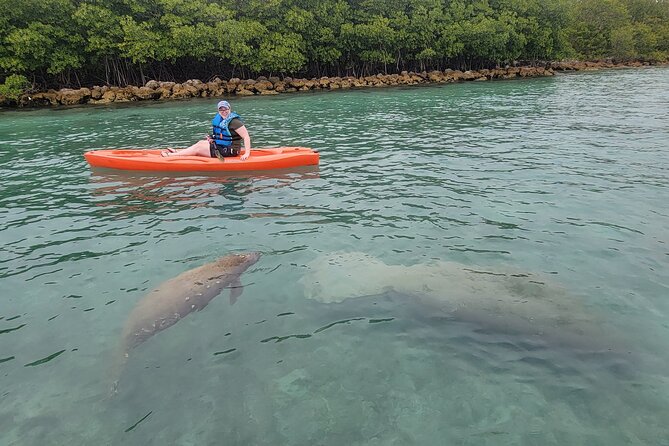 Nature & Island Exploration on SUP/Kayak - Choosing kayak vs SUP, and which one fits your energy level