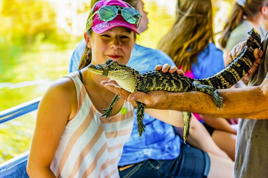 New Orleans: Bayou Swamp Tour and Oak Alley Plantation Tour - Why the Manchac Swamp boat ride plus Oak Alley hits two Louisiana moods