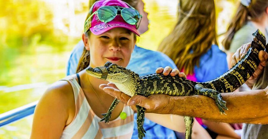 New Orleans: Bayou Swamp Tour and Oak Alley Plantation Tour - Cajun Pride Swamp Tours: what the Manchac Swamp boat ride feels like
