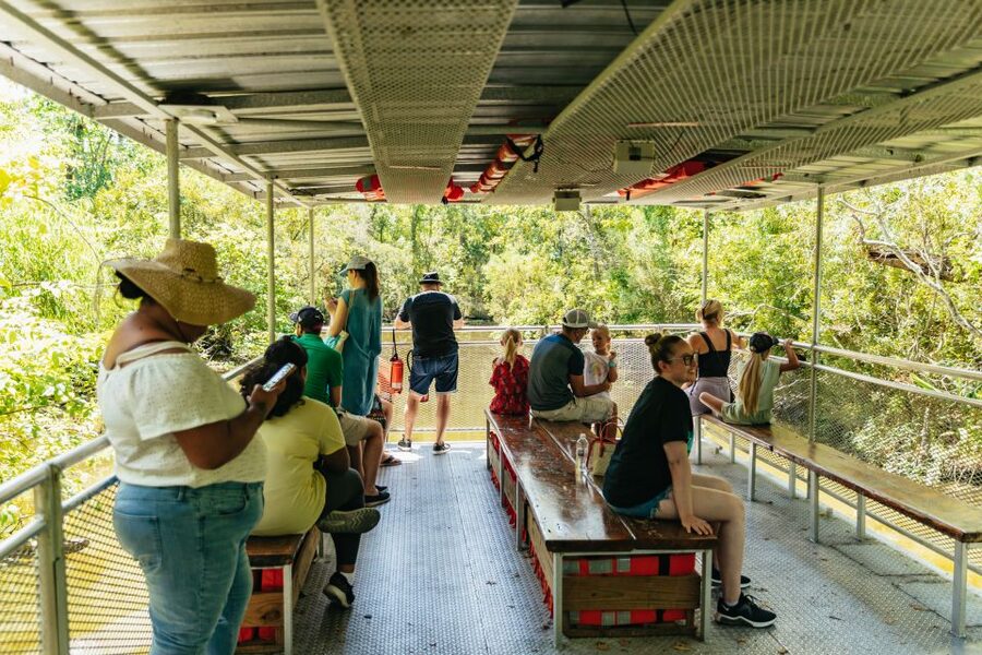 New Orleans: Bayou Tour in Jean Lafitte National Park - Why this Jean Lafitte swamp ride is such a smart New Orleans escape