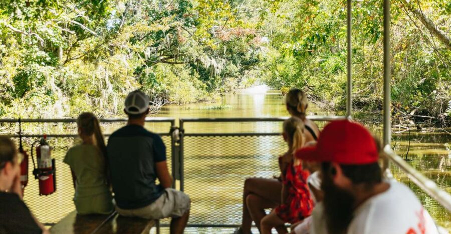 New Orleans: Bayou Tour in Jean Lafitte National Park - Cajun lunch nearby: how to plan the rest of your afternoon