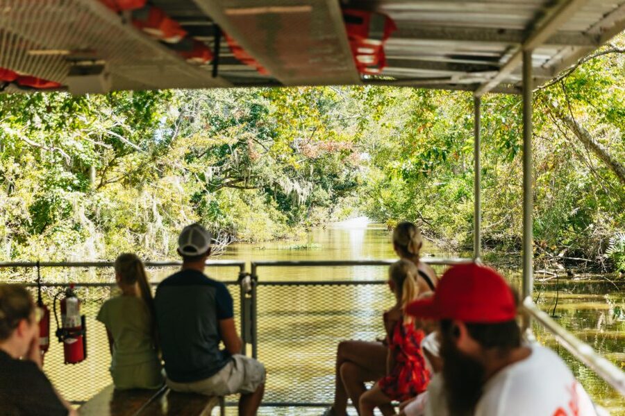 New Orleans: Bayou Tour in Jean Lafitte National Park - Who this tour is perfect for, and who might want another option
