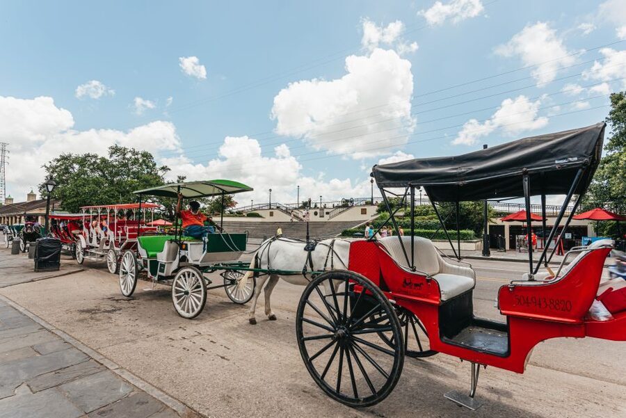 New Orleans: City Sightseeing Hop-On Hop-Off Bus Tour - Magazine Street, Garden District, and Lafayette Cemetery timing