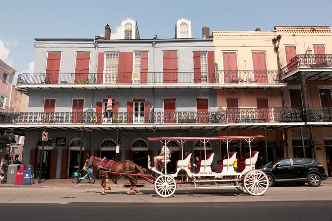 New Orleans: City Sightseeing Hop-On Hop-Off Bus Tour - Jackson Square, St. Louis Cathedral, and the French Quarter in one ride