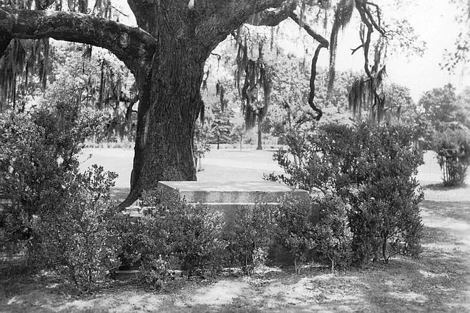 New Orleans Dead of Night Ghosts and Cemetery Bus Tour - What You Get for $55: Value for a Two-Hour Night Experience