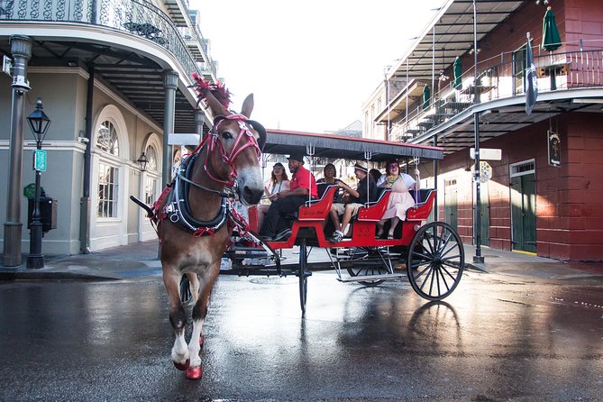 New Orleans French Quarter and More Carriage Ride - Why a French Quarter and Marigny Carriage Ride Is Such a Good First Step