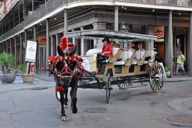 New Orleans French Quarter and More Carriage Ride - More Than Famous Names: The Smaller Architectural Details You Can Spot