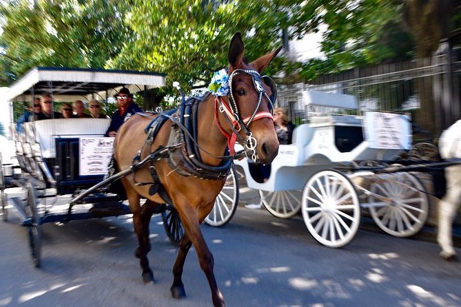 New Orleans French Quarter and More Carriage Ride - Marigny Angle: What You Learn When You Go Beyond One Block