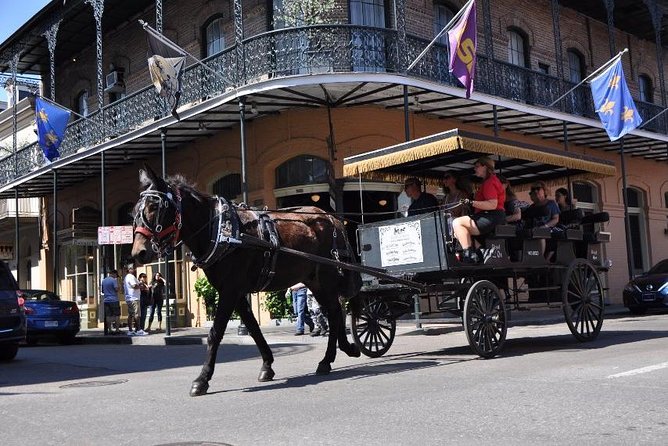 New Orleans French Quarter and More Carriage Ride - Comfort and Reality Checks: Seating, Sloped Roads, and Packed Carriages