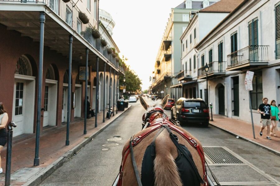 New Orleans: French Quarter Sightseeing Carriage Ride - Who This Tour Suits Best (and Who Might Want Another Option)
