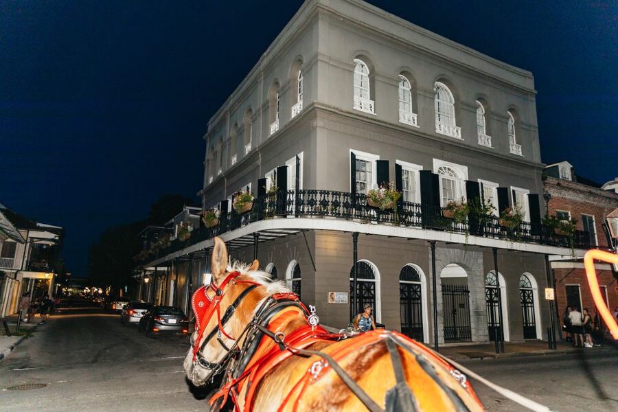 New Orleans: French Quarter Sightseeing Carriage Ride - How the Live Narration and Pace Really Feel on a 1-hour Ride