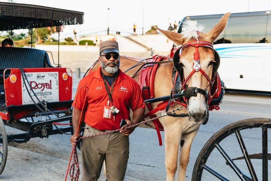 New Orleans: French Quarter Sightseeing Carriage Ride - Price and Value: What $65 Buys You (and What It Does Not)