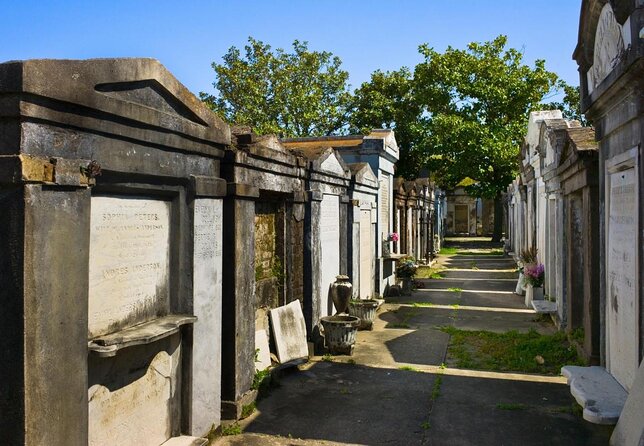New Orleans Garden District History Walking Tour - Where You Meet and How the 2-Hour Plan Moves