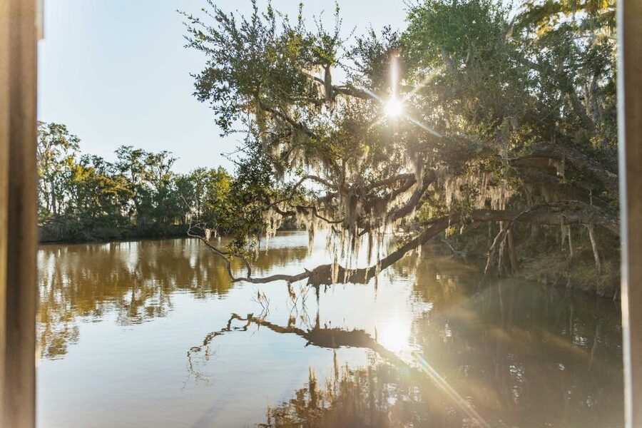 New Orleans: Guided Swamp Cruise by Tour Boat - Highlights I’d Prioritize