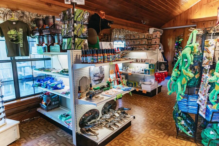 New Orleans: Guided Swamp Cruise by Tour Boat - Alligators and Seasonality: What Winter Changes (and How to Still Have Fun)