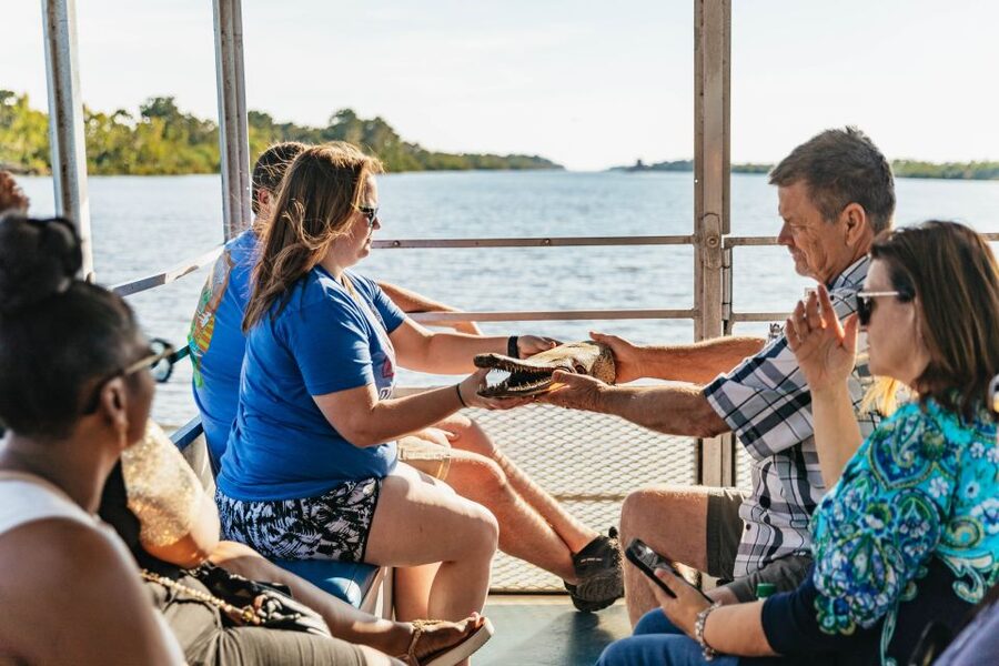 New Orleans: Guided Swamp Cruise by Tour Boat - The Marshmallows, Baby Gators, and the Hands-On Moments