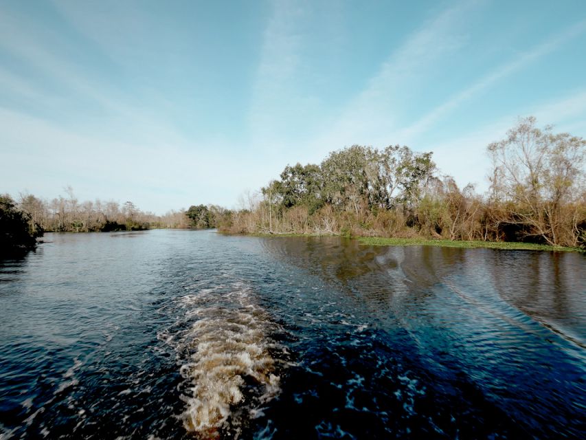 New Orleans: High Speed 16 Passenger Airboat Ride - The 100-Minute Airboat Ride: Speed, Seating, and Photo-Friendly Stops
