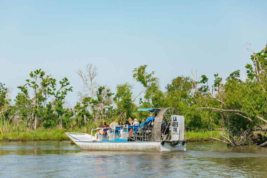New Orleans: High Speed 9 Passenger Airboat Tour - Key Highlights You Will Care About