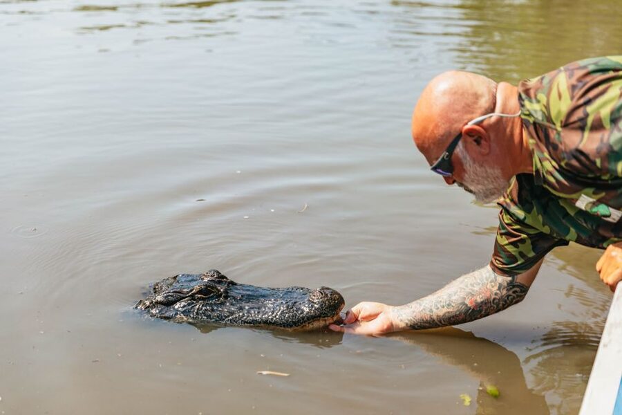 New Orleans: High Speed 9 Passenger Airboat Tour - How the Guides Make It Better: Stories, Safety, and Real Swamp Reading